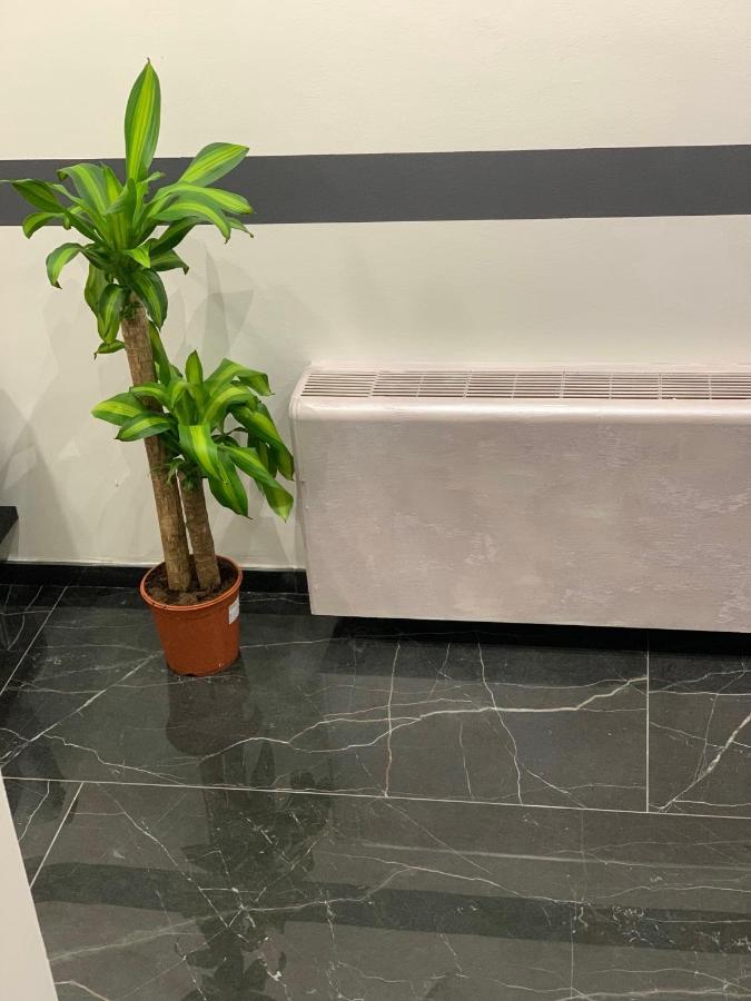 Hotel Neyra Beach Rimini Zewnętrze zdjęcie